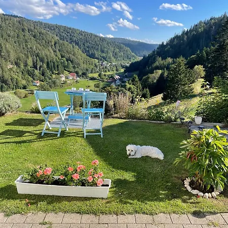 Apartamento Haus Oehlberg Todtmoos